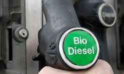 Biodiesel muss zertifiziert werden. Doch dabei geht einiges schief.