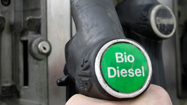 Biodiesel muss zertifiziert werden. Doch dabei geht einiges schief.