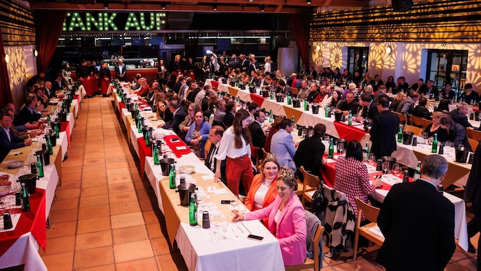 Am 10. Oktober steigt das große Finale der Rot-Goldenen Traube in der Csello Mühle in Oslip.
