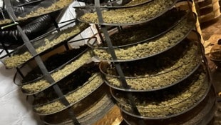 Alleine in Österreich wurden 259 Kilo „Gift“ sichergestellt.
