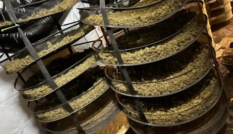 Alleine in Österreich wurden 259 Kilo „Gift“ sichergestellt.