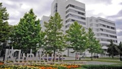 Der schwer verletzte Mann wurde ins Klinikum Wels gebracht.