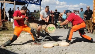 Ob allein mit der Motorsäge oder im Zweierteam an der Zugsäge – es zählt Präzision ebenso wie ...