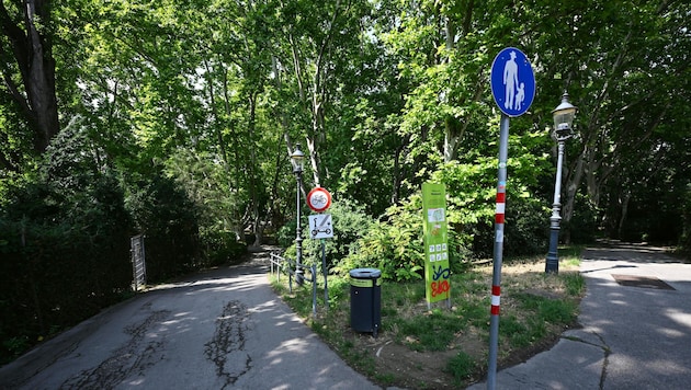 Wegen Mordversuchs hat sich am Donnerstag ein 19-jähriger Mann vor einem Geschworenengericht ...