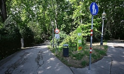 Wegen Mordversuchs hat sich am Donnerstag ein 19-jähriger Mann vor einem Geschworenengericht ...