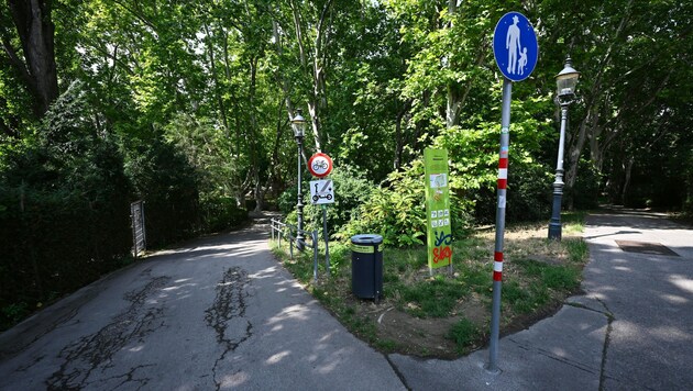 Wegen Mordversuchs hat sich am Donnerstag ein 19-jähriger Mann vor einem Geschworenengericht ...