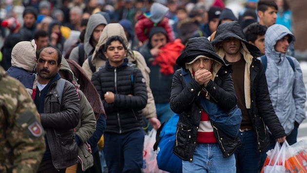 Migranten an der österreichisch-slowenischen Grenze