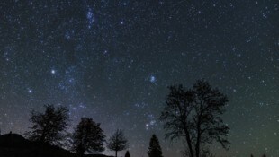 Etliche Sternschnuppen kann man bald wieder sehen.