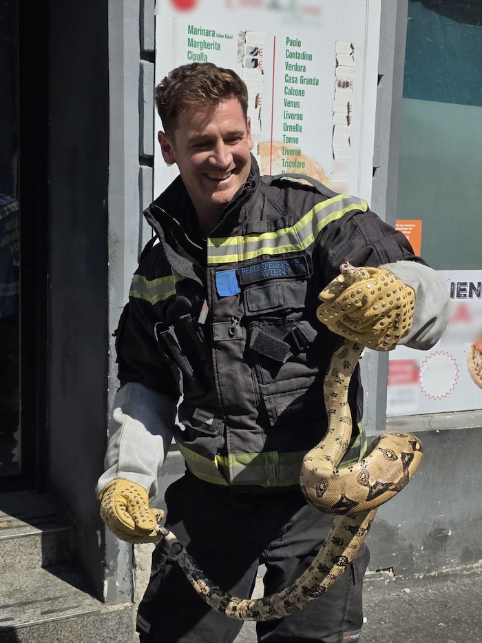 Die Einsatzkräfte konnten die Schlange mittels einer Tierrettungszange aus dem Pkw befreien.