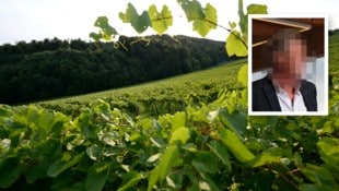 Stefan S. besitzt ein riesiges Weingut in der Südsteiermark, jetzt sitzt er in U-Haft.