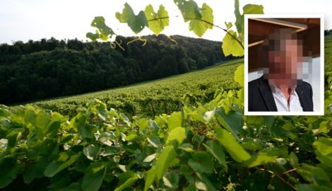 Markus P. besitzt ein riesiges Weingut in der Südsteiermark, jetzt sitzt er in U-Haft.