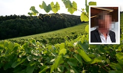 Markus P. besitzt ein riesiges Weingut in der Südsteiermark, jetzt sitzt er in U-Haft.