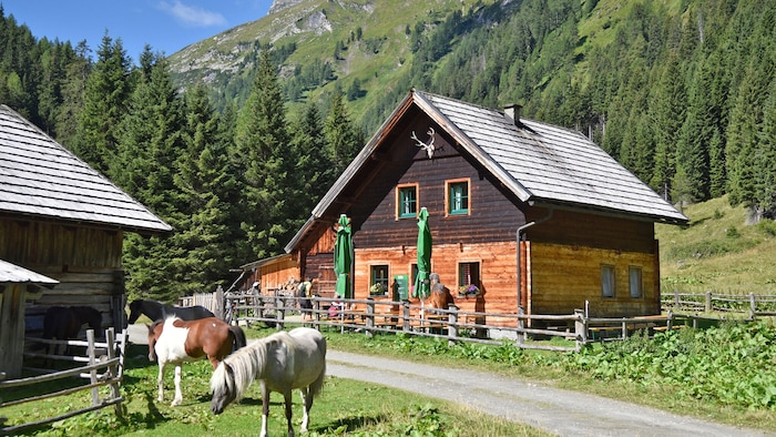 Ein Ausflug auf die Lippbauernalm lohnt sich – Achtung: Montag ist Ruhetag.