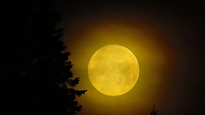 Das Licht des Vollmondes kann das Sehen der Perseiden erschweren.