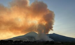 Feuer an den Hängen des Vulkans Vesuv – wirtschaftliche Interessen könnten hinter den ...