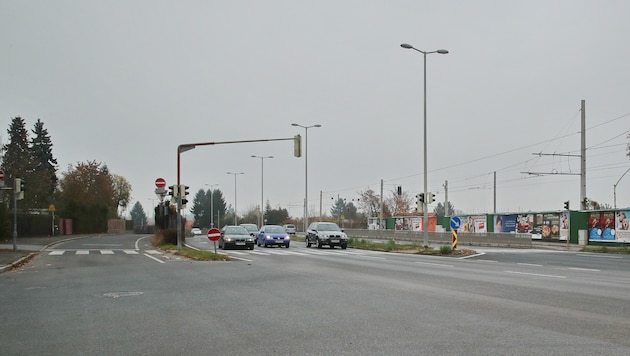 Auf der Grazer Triester Straße spielten sich in der Nacht auf Sonntag haarsträubende Szenen ab.