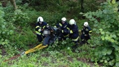 Die Freiwillige Feuerwehr Mieger holte das Unfallwrack per Seilwinde. 