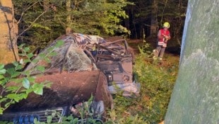 Das Unfallauto prallte mit der Fahrerseite gegen einen Baum.