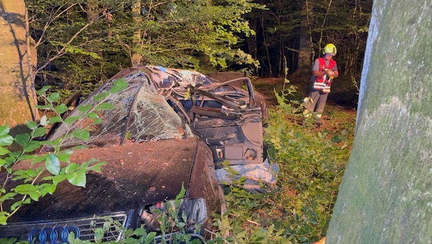 Das Unfallauto prallte mit der Fahrerseite gegen einen Baum.