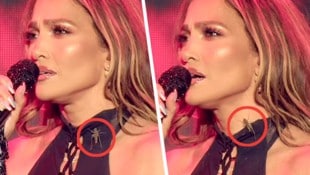 Das Krabbeltier konnte Jennifer Lopez nicht aus der Ruhe bringen!