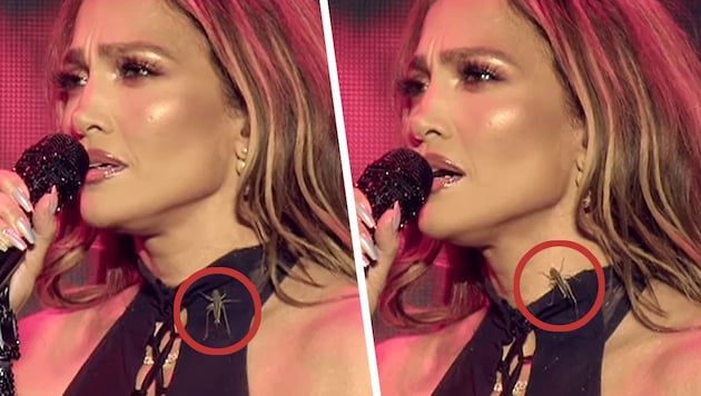 Das Krabbeltier konnte Jennifer Lopez nicht aus der Ruhe bringen!