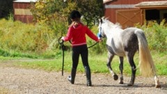 Pernille Sohl brachte das kranke Pony ihrer Tochter zum Aalbrog Zoo, wo es getötet und an die ...