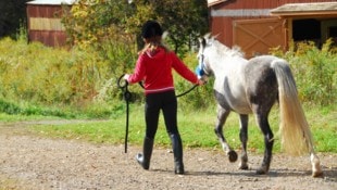 Pernille Sohl brachte das kranke Pony ihrer Tochter zum Aalbrog Zoo, wo es getötet und an die ...