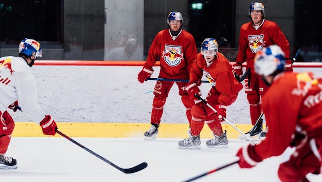 Trainingsstart bei fpr Niki Kraus (mi.) und Co. bei den Eisbullen.