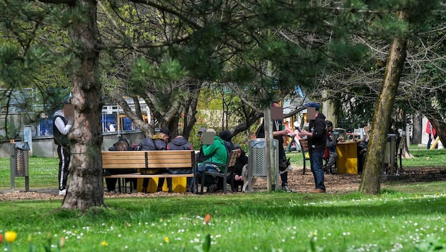 Im Volksgarten (o.) setzt man auf Gesprächsangebote, Präsenz und klare Rahmenbedingungen.