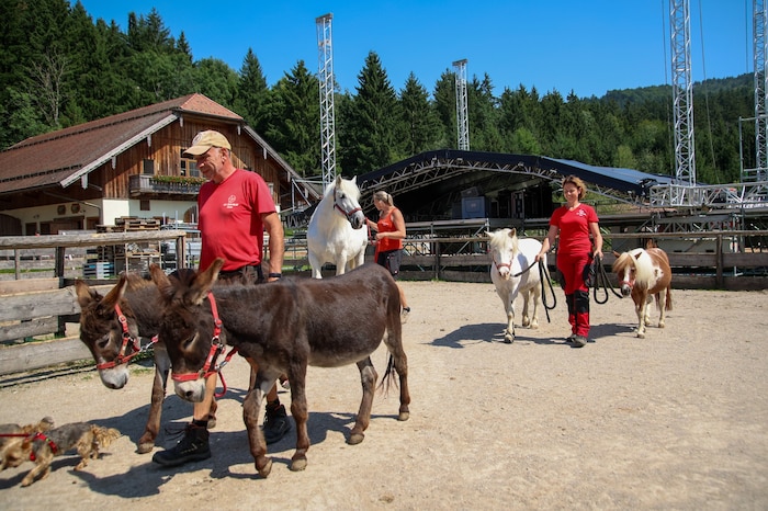 Die tierischen Bewohner von Aiderbichl werden von den Konzerten nichts mitkriegen.