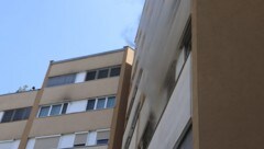 Mit manchen Nachbarn muss man sich immer wieder herumschlagen. 