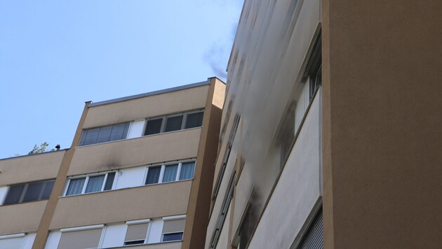 Mit manchen Nachbarn muss man sich immer wieder herumschlagen.