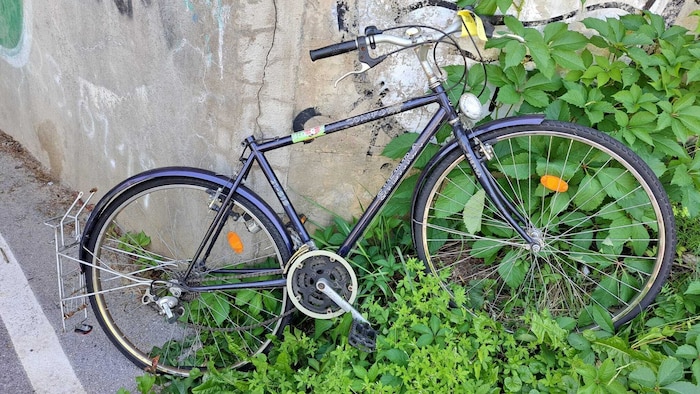 Am Murradweg sind zahlreiche Fahrradleichen zu finden