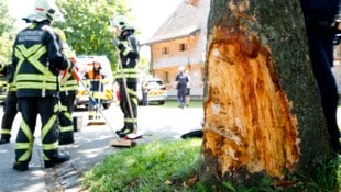 Auch der Baum wurde in Mitleidenschaft gezogen. 