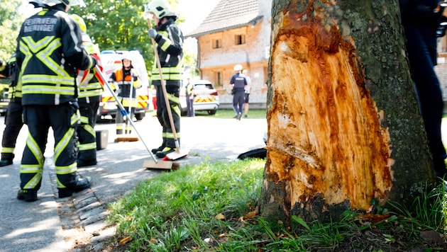 Auch der Baum wurde in Mitleidenschaft gezogen.