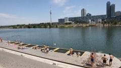 Die Identität des in der Donau entdeckten Leichnams konnte inzwischen geklärt werden ...