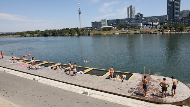 Die Identität des in der Donau entdeckten Leichnams konnte inzwischen geklärt werden ...