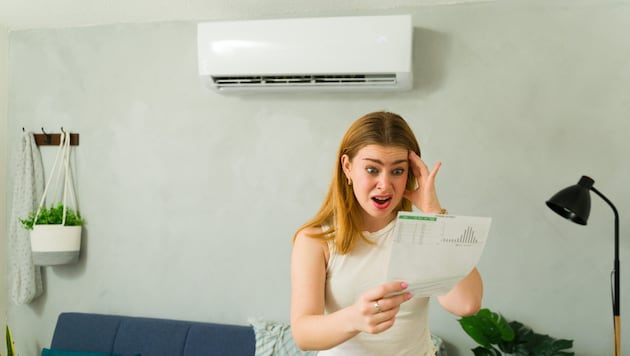 Eine Klimaanlage muss man sich leisten können – derzeit sind sie besonders teuer.