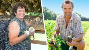 Gabi Wild-Obermayr (li.) zeigt die herrlichen Zwiebeln, Ehemann Klaus die zu kleinen Melanzani.
