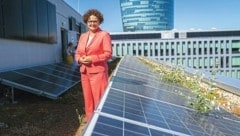 Zehetner stellt jetzt klar, dass die geplanten Einspeisetarife deutlich unter den Entgelten für ...