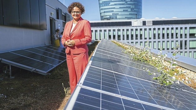 Zehetner stellt jetzt klar, dass die geplanten Einspeisetarife deutlich unter den Entgelten für ...