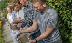 Am Dienstag wurden im Heimgarten „Schöne“ Tausende sterilisierte Tigermückenmännchen ...