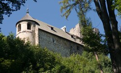 Die Burgruine Gösting steht aktuell zum Verkauf – 6,4 Millionen Euro ist die Basis für ...