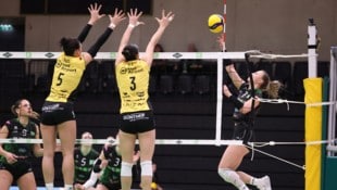 Ob die Linz AG Steelvolleys weiter in so kurzen Hosen spielen, ist offen.