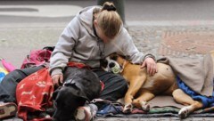 US-Präsident Donald Trump droht Obdachlosen in Washington mit dem Gefängnis, wenn sie sich ...