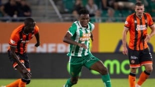 Rapid will morgen gegen Dundee den Aufstieg in der Conference-League-Quali fixieren.