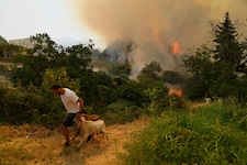 Ein Mann bringt seine Ziegen auf Patras vor den Flammen in Sicherheit.
