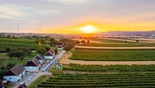 An ungewöhnlichen Orten – wie hier in Ketzelsdorf im Weinviertel – servieren Spitzengastronomen ...