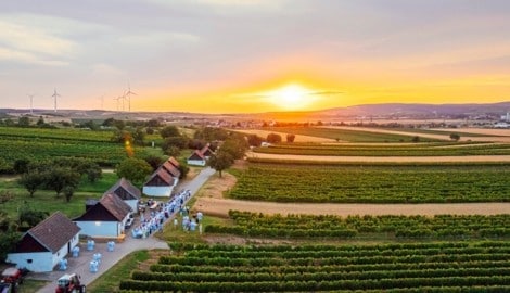 An ungewöhnlichen Orten – wie hier in Ketzelsdorf im Weinviertel – servieren Spitzengastronomen ...
