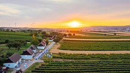 An ungewöhnlichen Orten – wie hier in Ketzelsdorf im Weinviertel – servieren Spitzengastronomen ...
